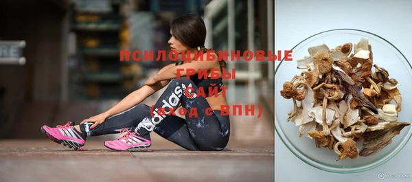 гашик Гусиноозёрск