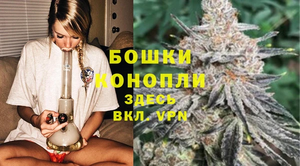 тгк Гусь-Хрустальный