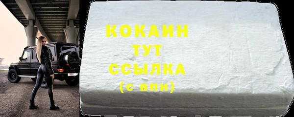 гашик Гусиноозёрск