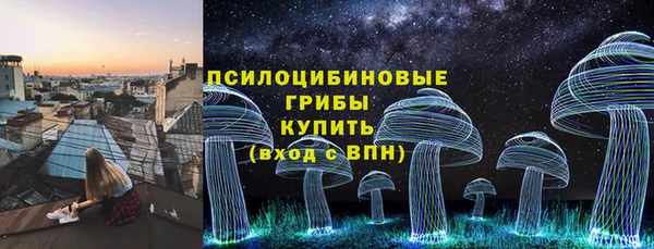 гашик Гусиноозёрск