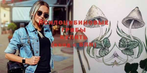 гашик Гусиноозёрск