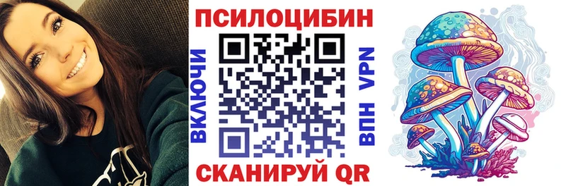 Псилоцибиновые грибы мицелий  купить   Омутнинск 